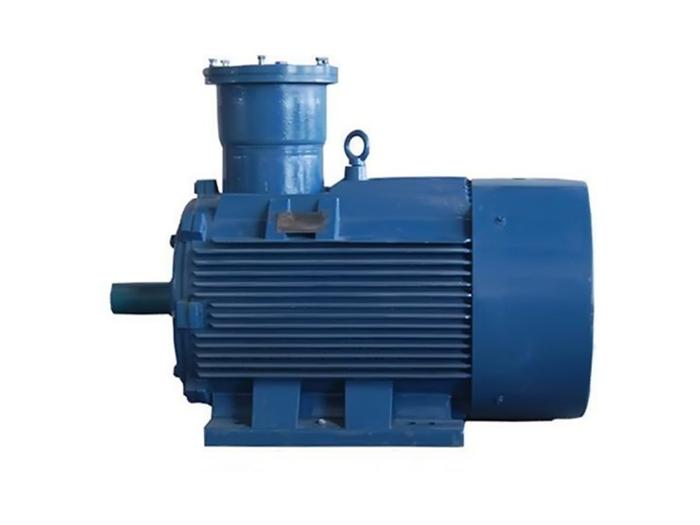 CT4防爆電機(jī)
